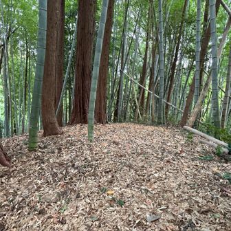 この辺りが山頂