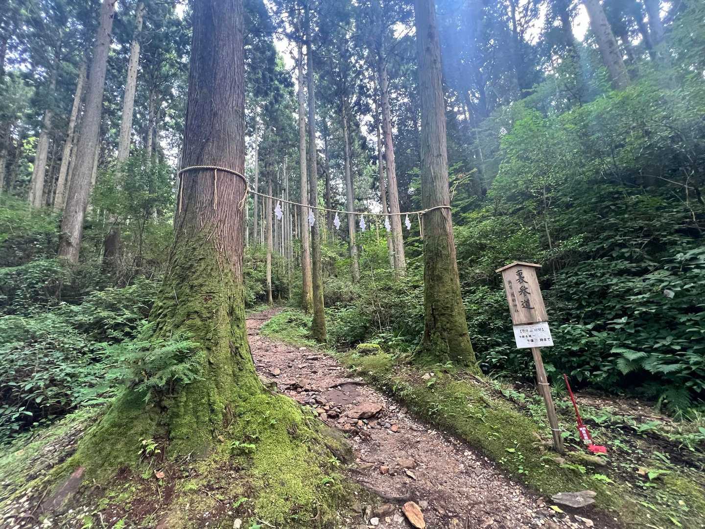 下山は裏参道より