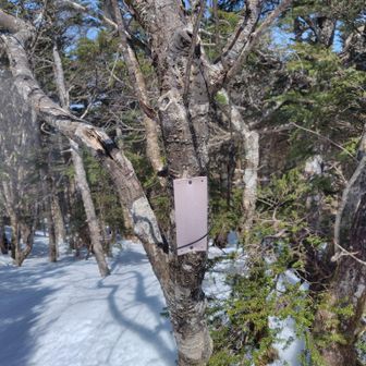 恵那山の最高点。以前標識あったのに、無くなった？