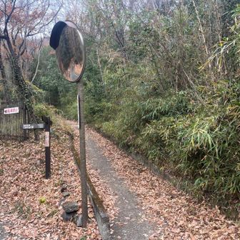 ここから登山道‼️