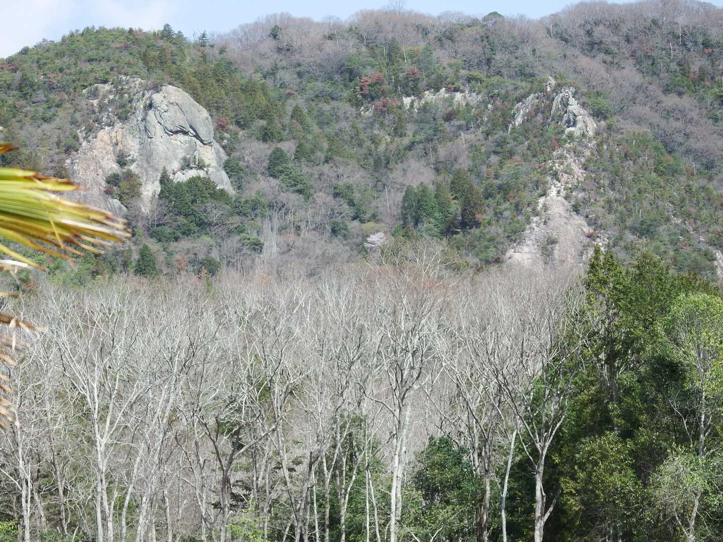 左、白岩様、右、チンネ