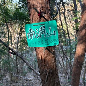 道が全くわからなくて凄く迷ってめちゃ時間かかった💦