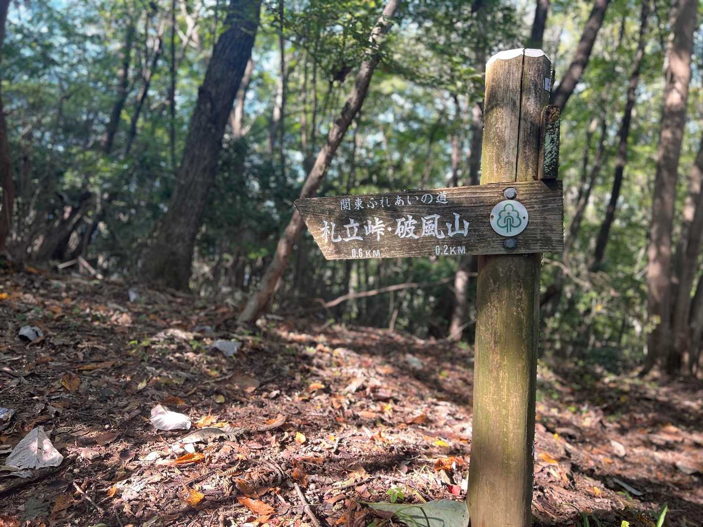 間違えやすいポイント
道に沿って直進ではなく、ここの東屋の手前を左が正
道が不明瞭で気付かなかった