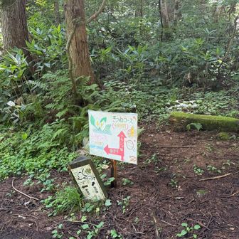 ここで左へ