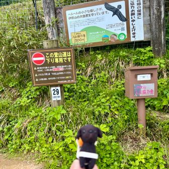 入山協力金を入れさせて頂きました
トイレも協力金が要請されています