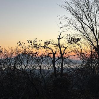 木のカーテンに隠れた雲仙岳⛰️
グラデーション綺麗✨