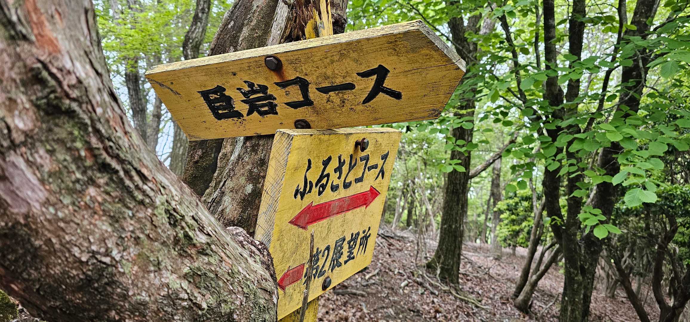 さてさて　噂のふるさとコースの始まり
巨岩コースを選択