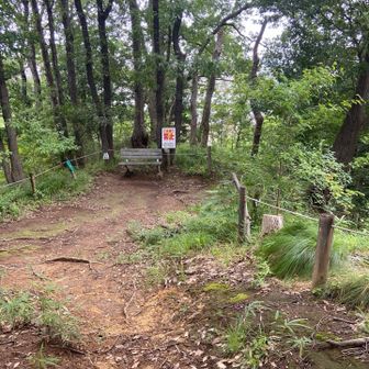 つくし野殿山山頂
