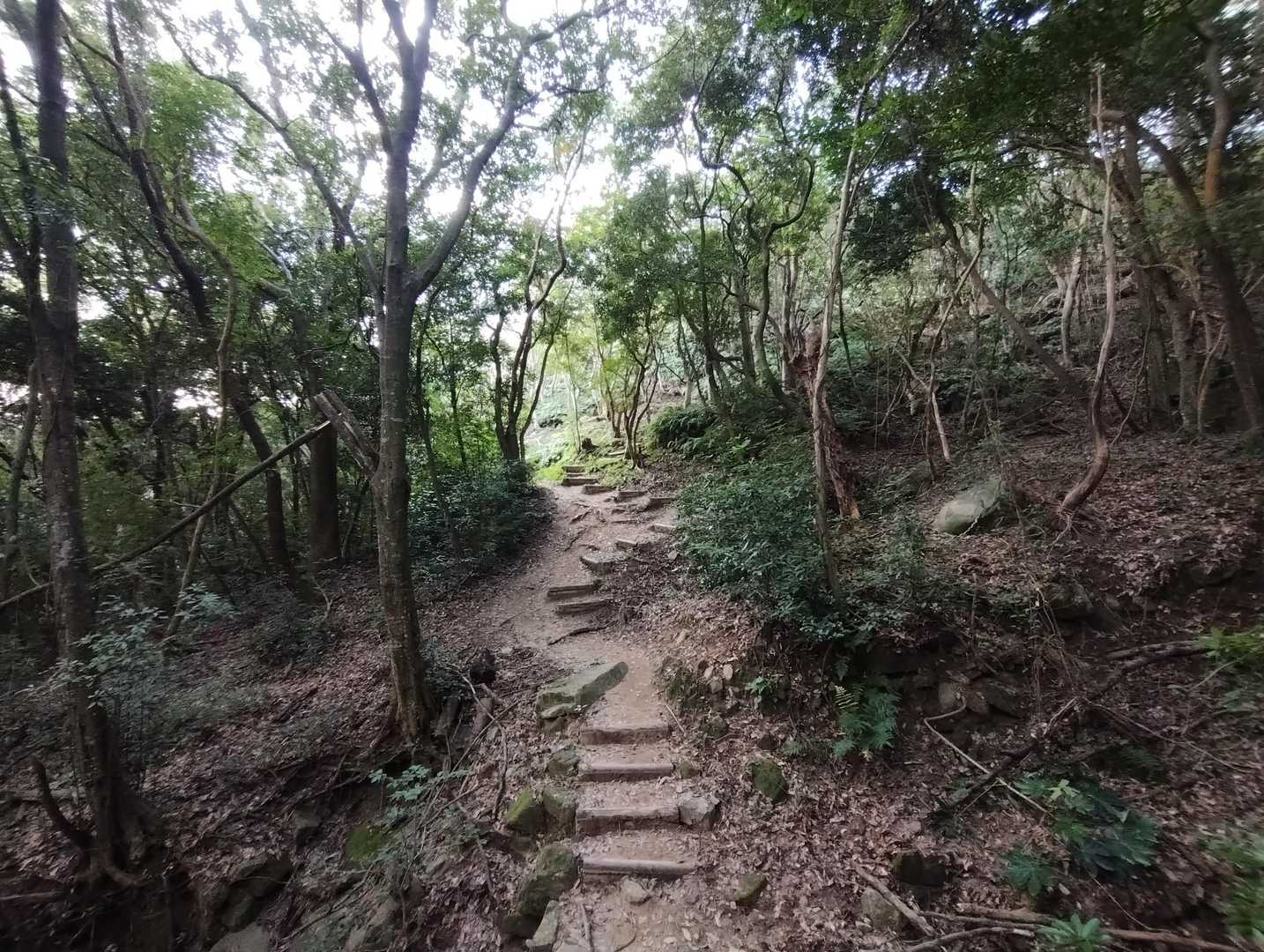 下る時、何人もすれ違いました🎶
人気のお山ですね😃