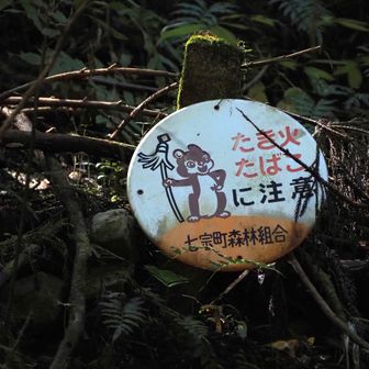 纏(まとい)リスちゃん🐿️
🚫🔥