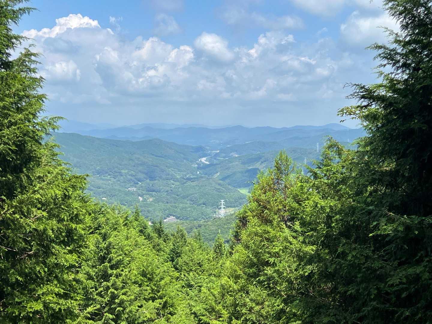 下山中の景色