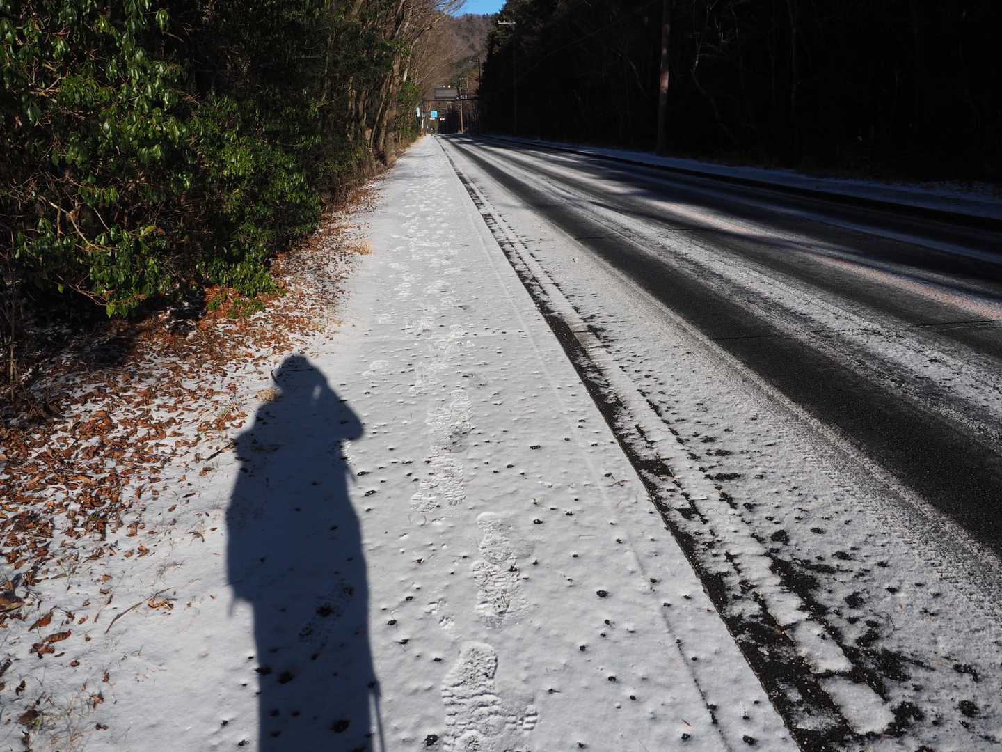 思いのほか雪降らなかったのねえ。