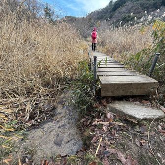 テクテク🚶‍♀️