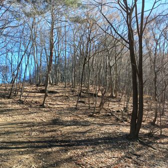 鹿岳から四ッ又山への鞍部