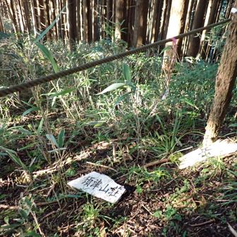 尾根筋のルートは、廃道になったのでしょうか。