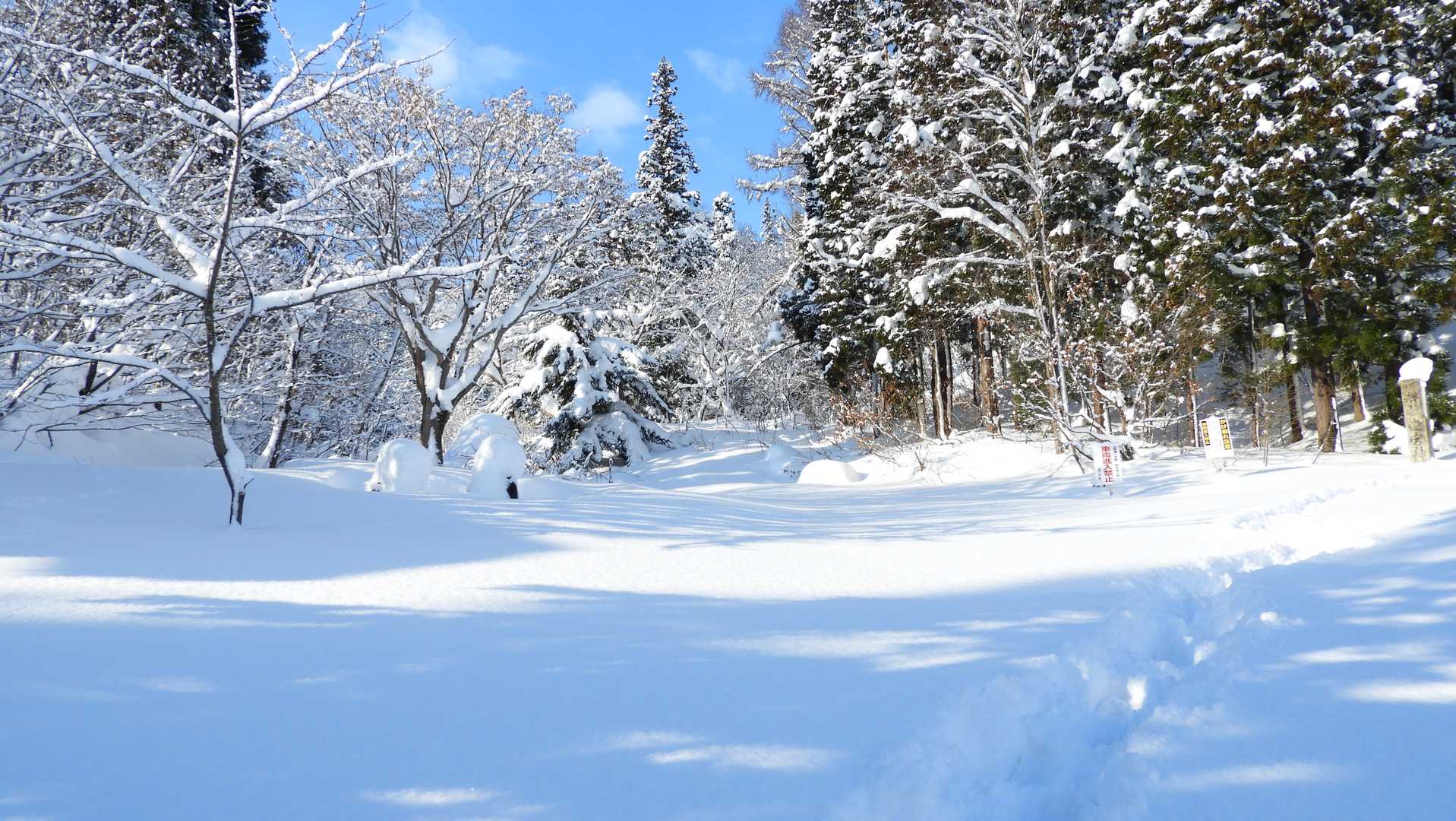 お馴染み地蔵園の登山口。この林道にはいつも必ずトレースがありますが、今日はトレースの無い左の道へ。