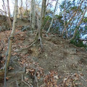 天狗山手前のロープ場。