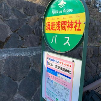 ゴーーール！！！
やー、久しぶりによく歩きました。

16:23発のバスが20分以上遅れ😂
焦りましたが、御殿場17:23発のロマンスカーに何とか間に合いました。