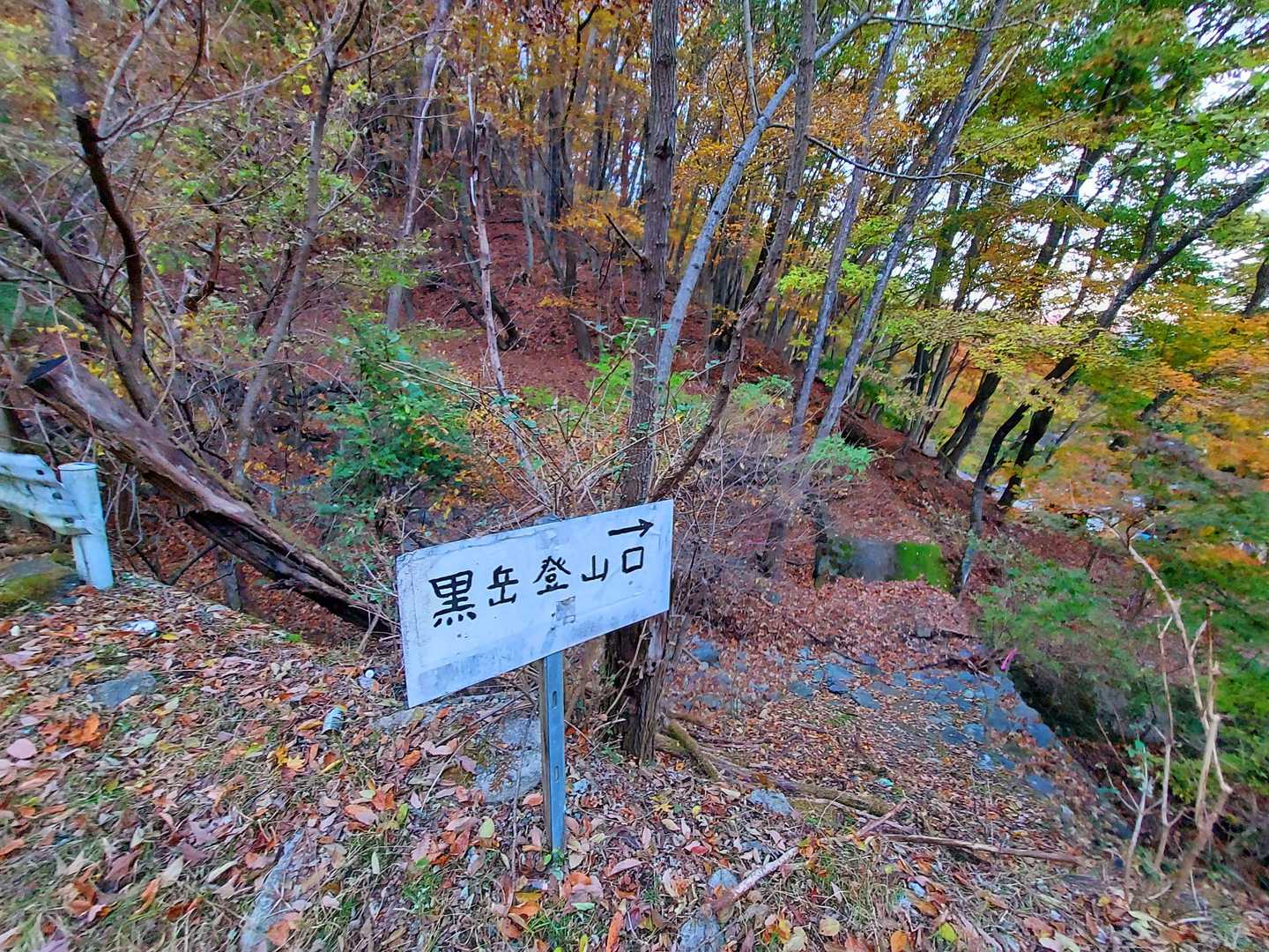黒岳登山口に降りてきました
ここから本日の最終目的地 🍁もみじ回廊へ徒歩で向かいます🚶‍♀️