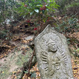 穏やかな表情をされていらっしゃる