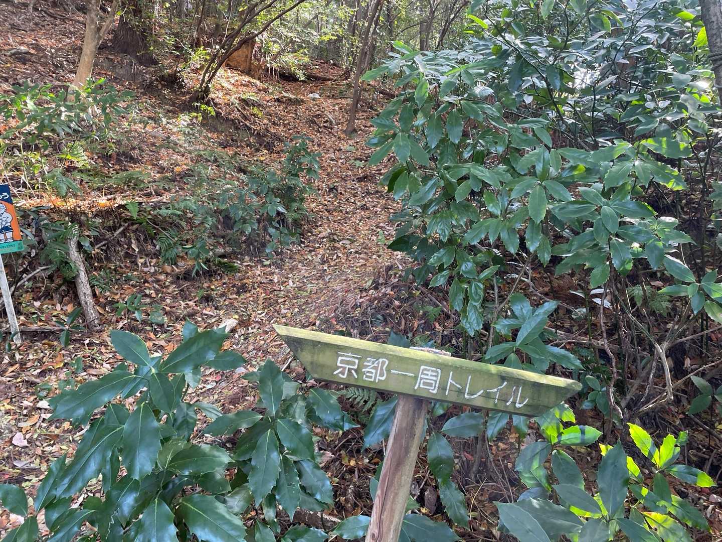 伏見稲荷大社-熊鷹社-阿弥陀ヶ峠-京都一周トレイル東山17 縦走コースの写真