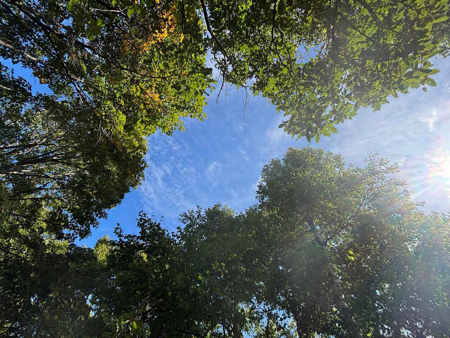 塩谷丸山 往復 | 石狩湾を望む展望台へお手軽ハイキングの写真