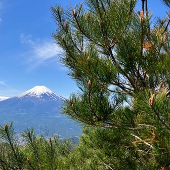 田中