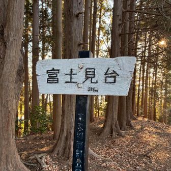 富士見台
ここにはキレイなベンチとテーブルもあって、休憩に最適。
まだ早いから、休憩をもう少し後にしようと思って、スルーしました。
実は、ここから堂所山までベンチがゼロでした。