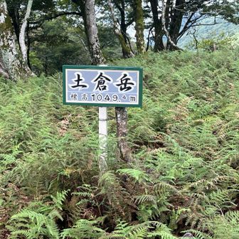 土倉岳