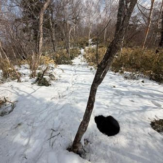また穴🕳️発見
1m以上はあったかな🤔