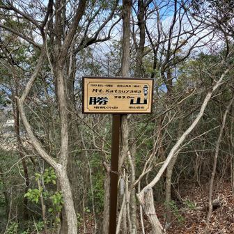 勝山ここもお初です