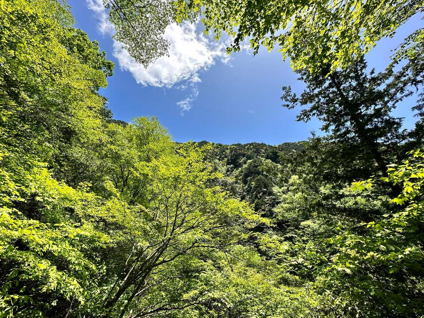 滝の撮影は満足したので下山します♪