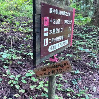降りました