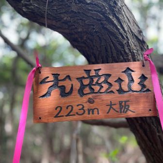 無事に分岐点を見つけて大曲山に行けました🎉