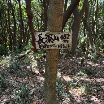 暑さに疲弊しつつ、なんとか長深山。同じ山名標識シリーズ。