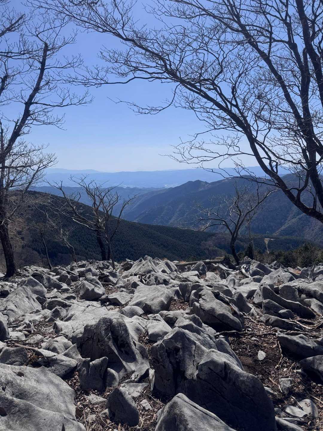 元井谷登山口-仰烏帽子山 往復コースの写真