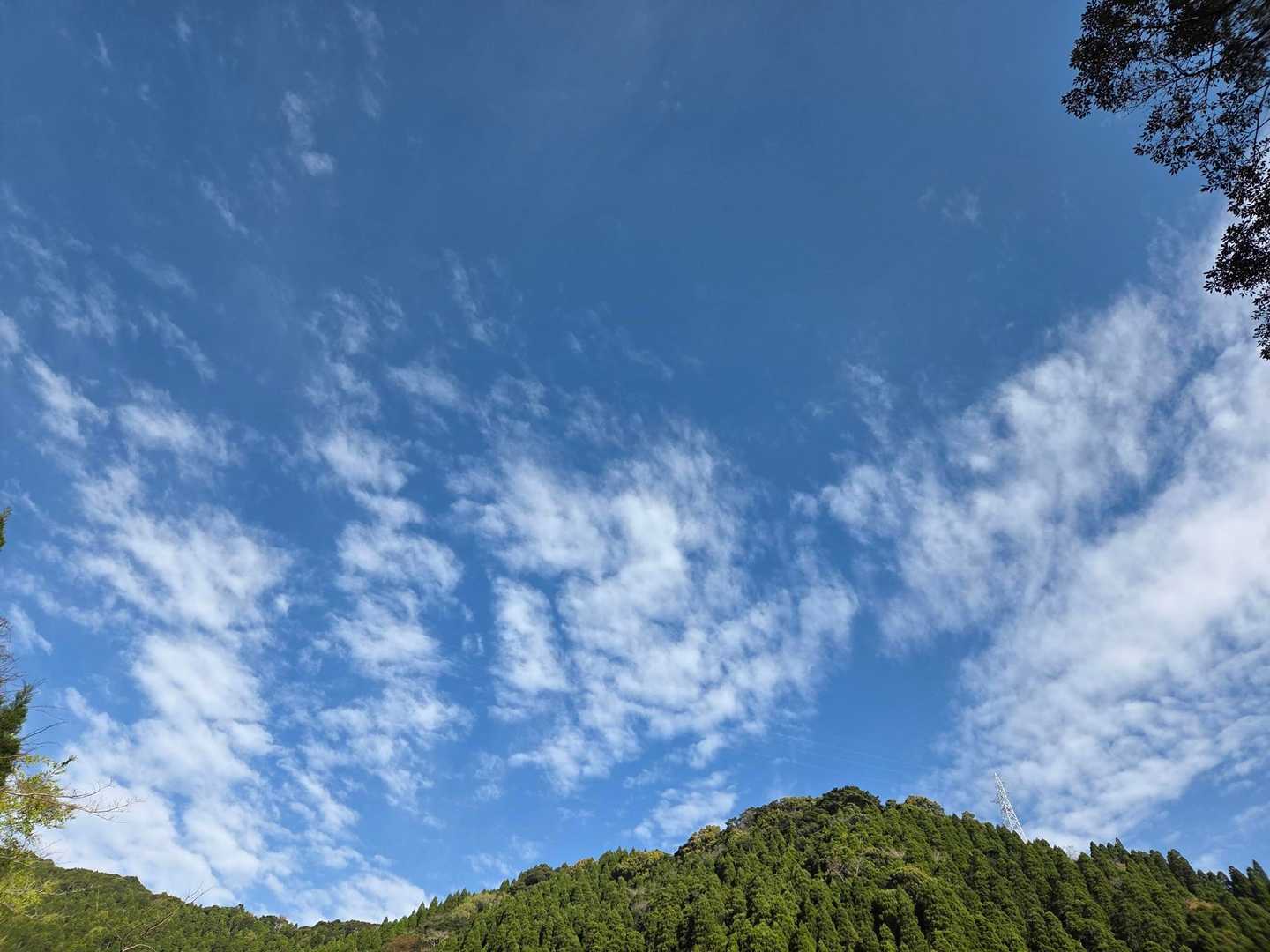 天気予報では午前中は晴れ間がのぞく。午後からは曇り空…
下山するまで晴れてると良いな～🙄