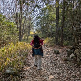 この辺までくると…〇〇たい‼️と1歳児がウンウン言い出して…