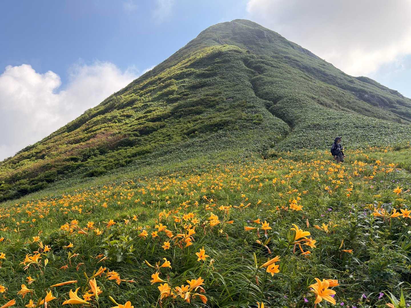 初夏の谷川☀️笠ヶ岳の先の黄色い絨毯🌼 / よしきのサイクリング