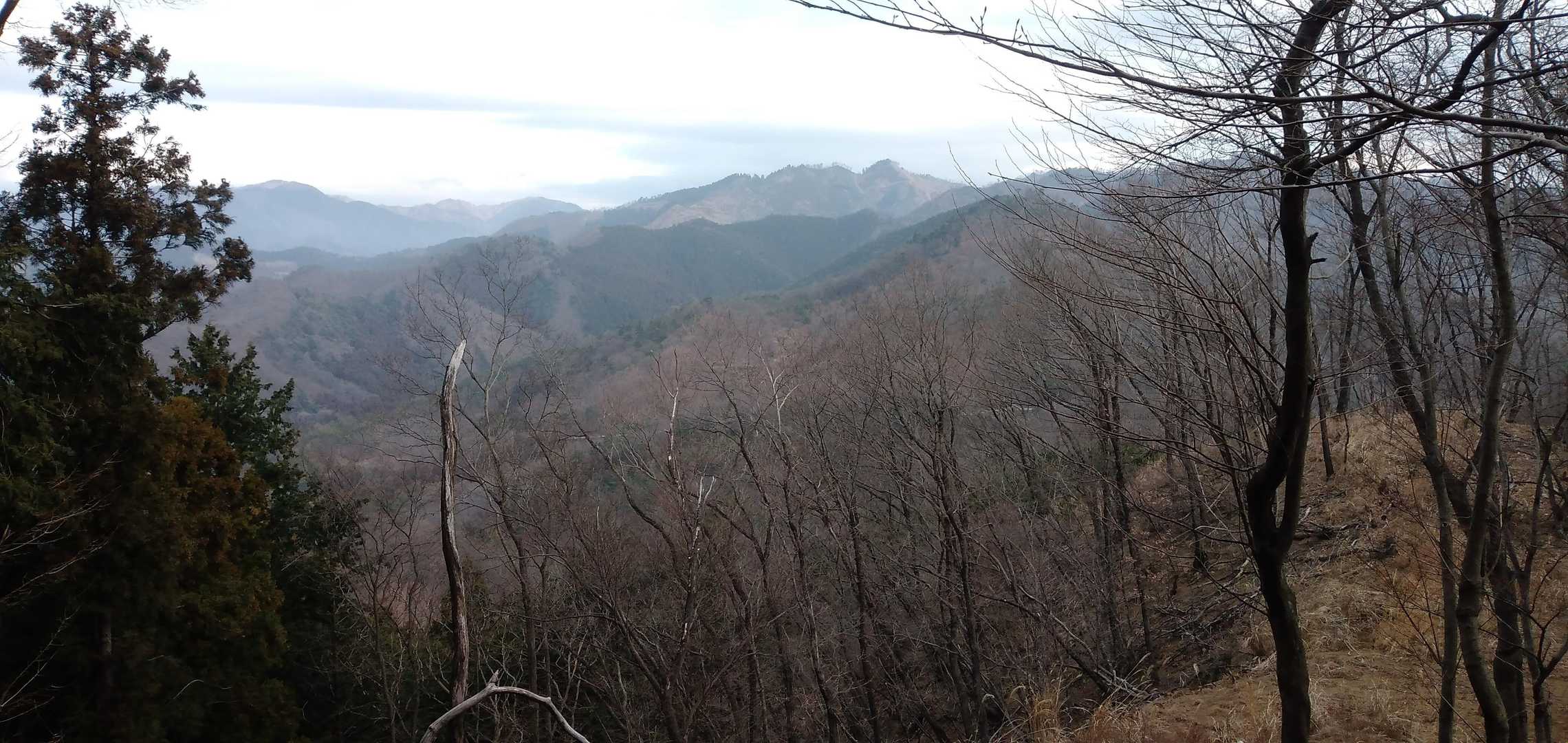 姥穴山からの戻りで仙人ヶ岳をパシャリ(*´ω`*)
こちらから仙人まで行けなくはないけど、私にはまだちょ～～～っと厳しいかな…(>_<)
行くなら素直にダムからのルートかな(^◇^;)