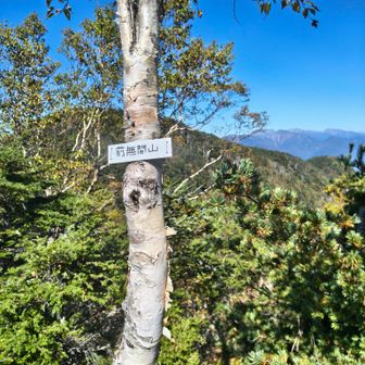 10分程度で前無間山