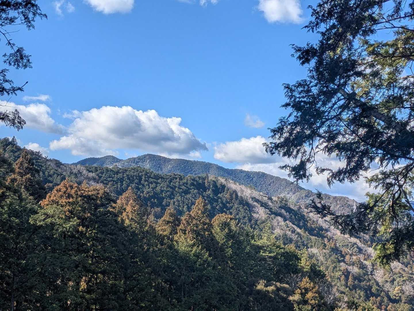 歩いてる人がいないようなので途中から正規ルートにもどりました。　ヤマップのみんなの軌跡、便利ですね～🤓