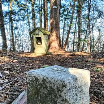 高へら山ピーク。
ここにも祠が。
山名版を撮影した写真は何故か消えてました。