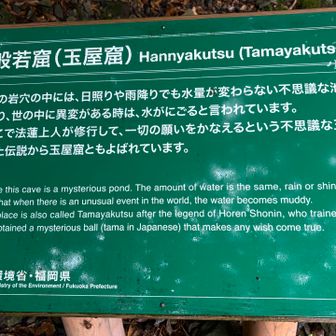 トリビア