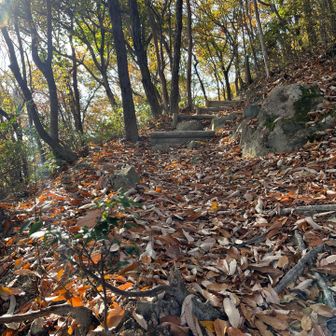 よく整備されてます