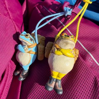 息子に買ってもらった「無事かえる」、妻とお揃いです🐸