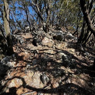 この上がピーク