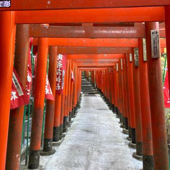 朱色の鳥居のトンネルをくぐって