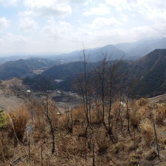 200度のパノラマ写真