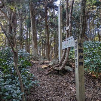 第11経塚の案内
奥に経塚